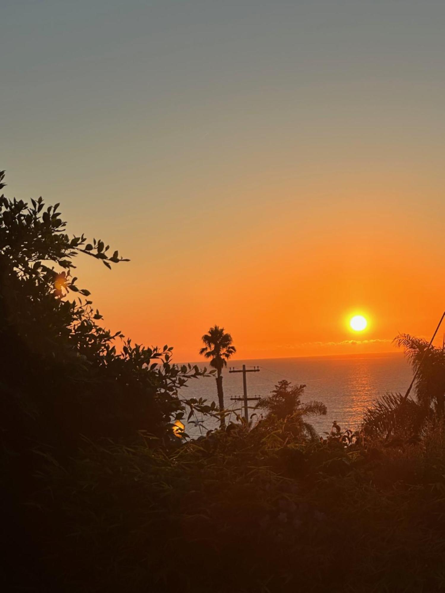 Contemporary Ocean Sunset Views With Firepit Pt Loma Close To Plnu San Diego Exterior foto